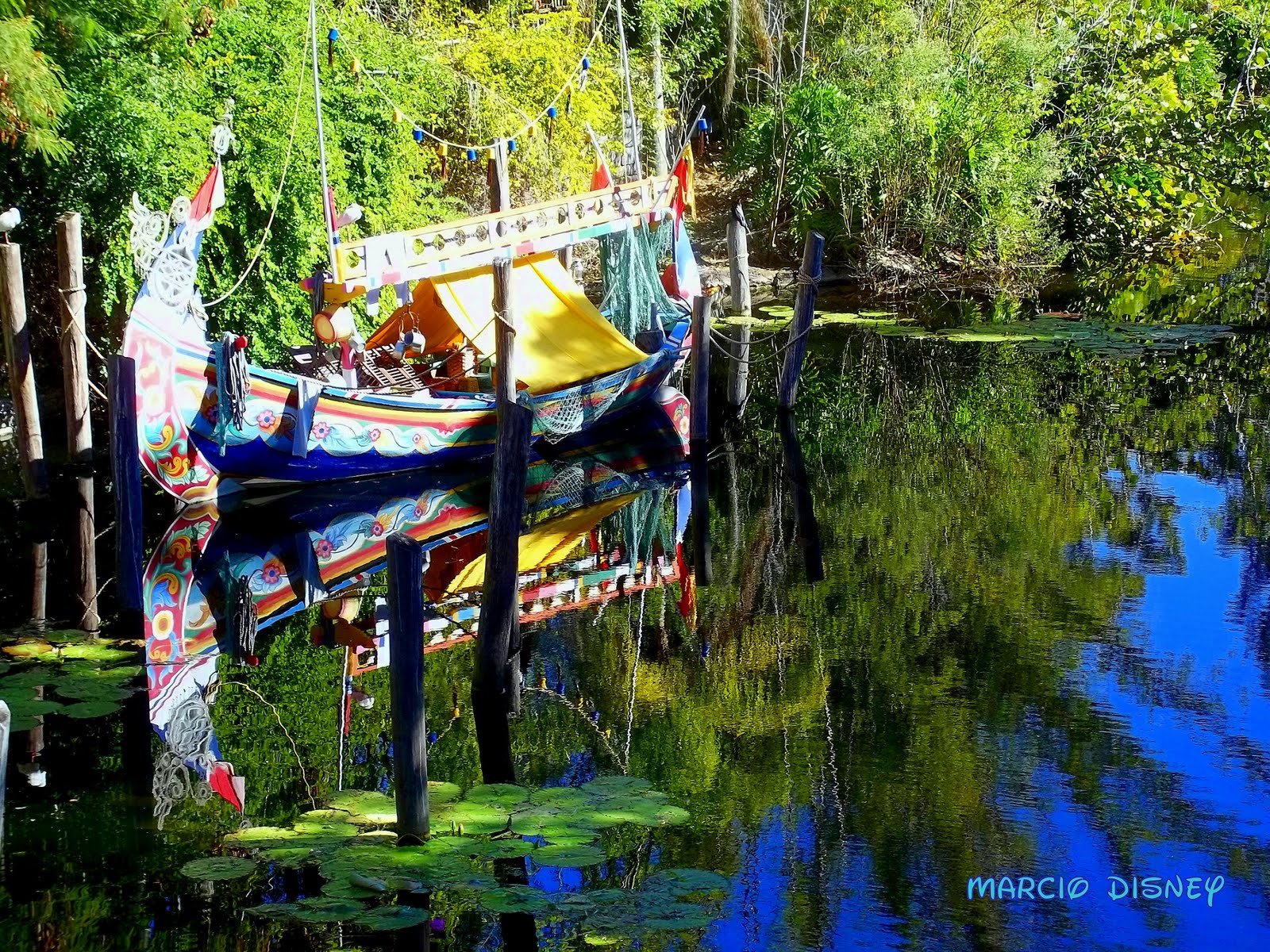 The Walt Disney World Picture of the Day Boat in the Discovery River