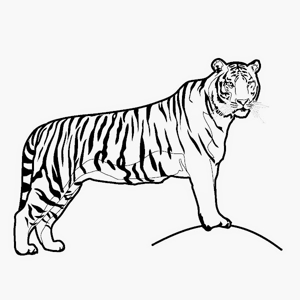 tigger for kids wallpapers cute tigger for kids cute tigger for kids