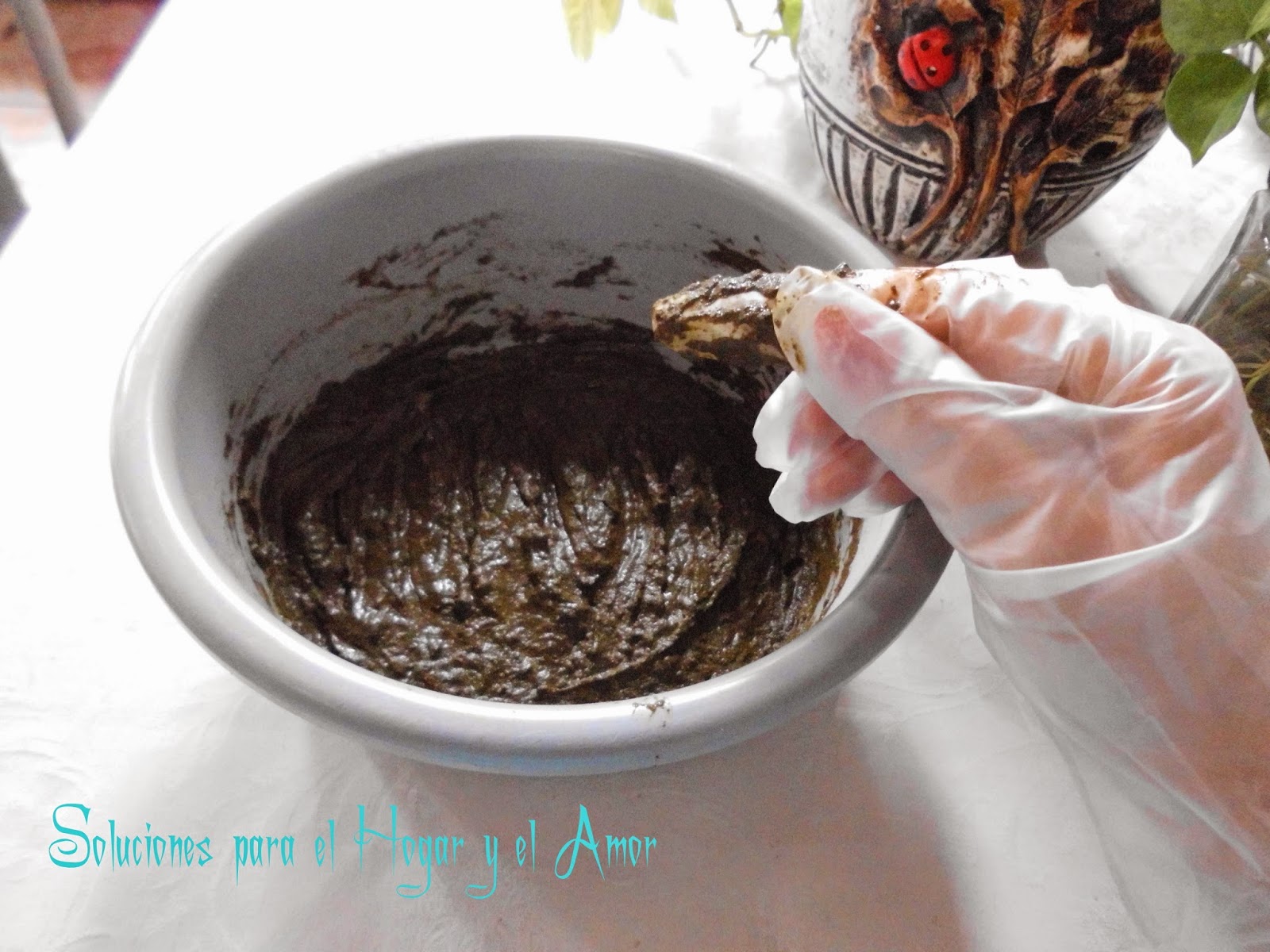 Soluciones para el Hogar y el Amor: Como teñirse con Henna Tinte