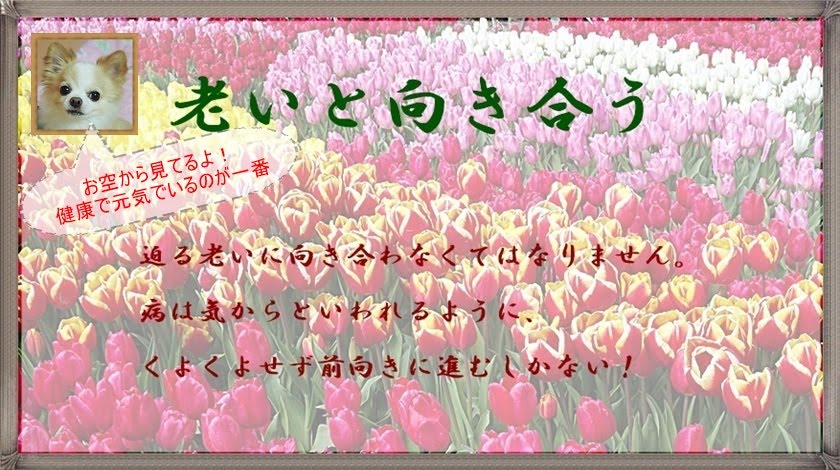 　老いと向き合う  