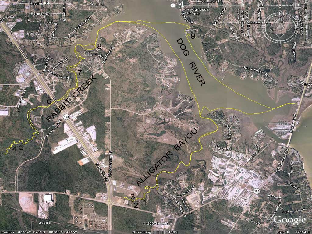 Kayaking the MobileTensaw River Delta March 2007