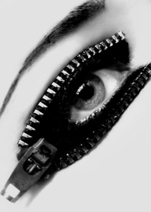 musings from the marsh... The Eyes Have It...