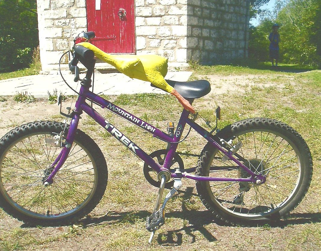 bob%2Bbike%2Bcentre%2Bisland.jpeg