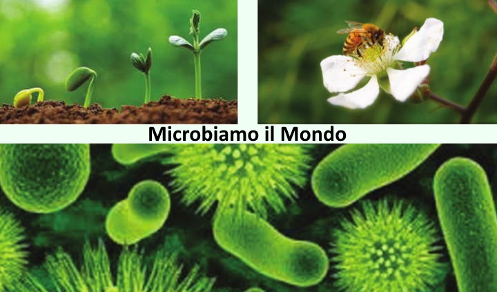 Microbiamo il Mondo