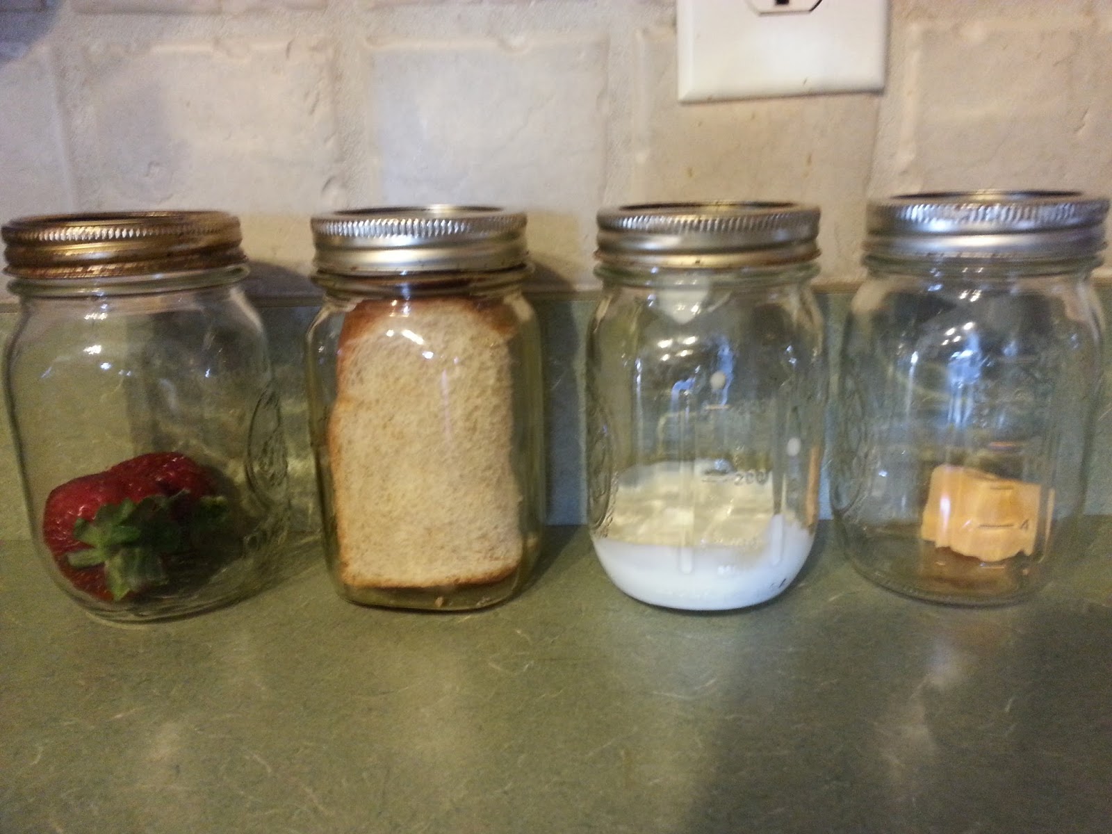 The Cool Science Dad The Mold Experiment