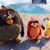 Nouveau trailer pour Angry Birds - Le Film !