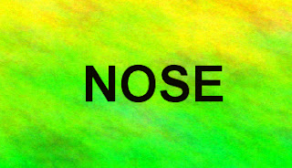 Nose