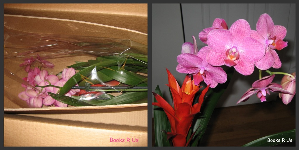 Proflowers Discount Code Boomer Proflowers Discount Code Boomer