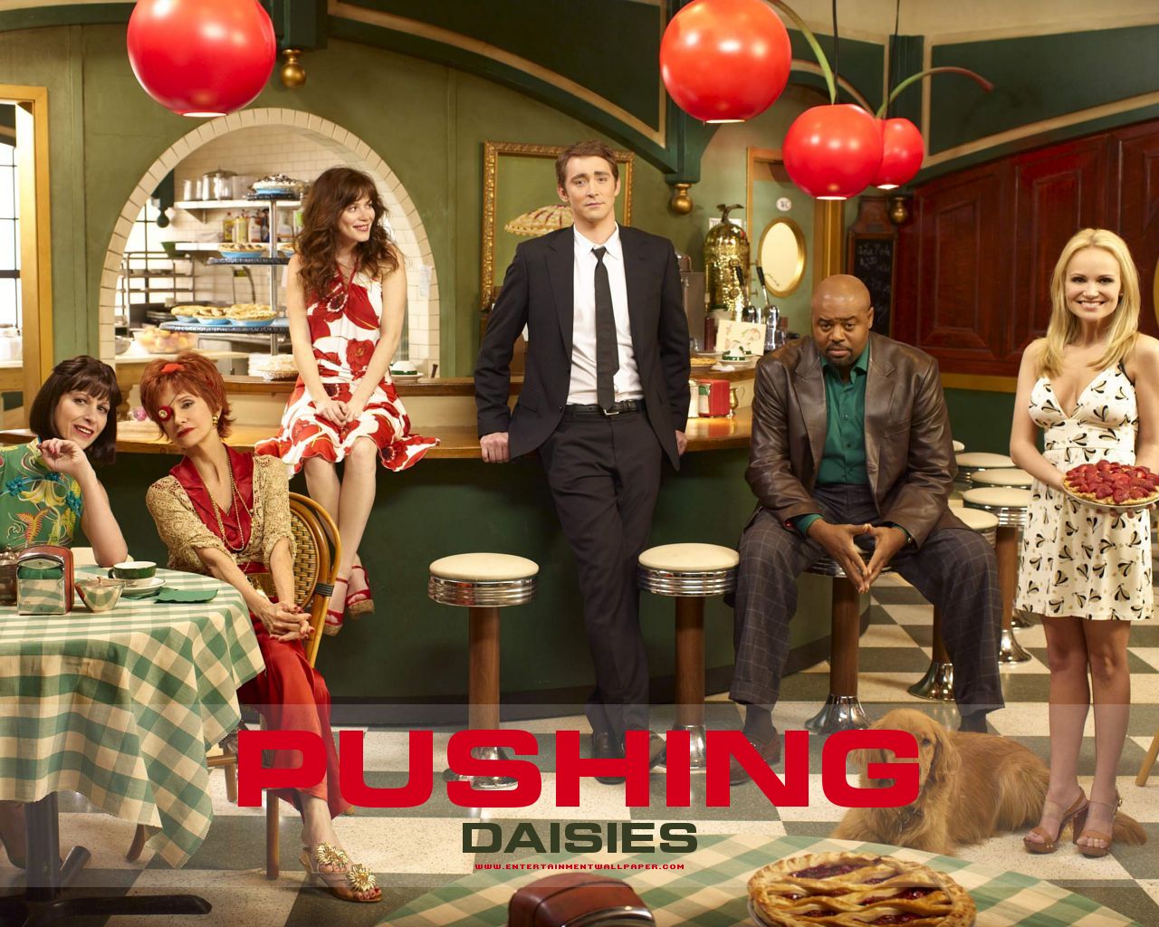 Le petit monde de Guiz Pushing daisies