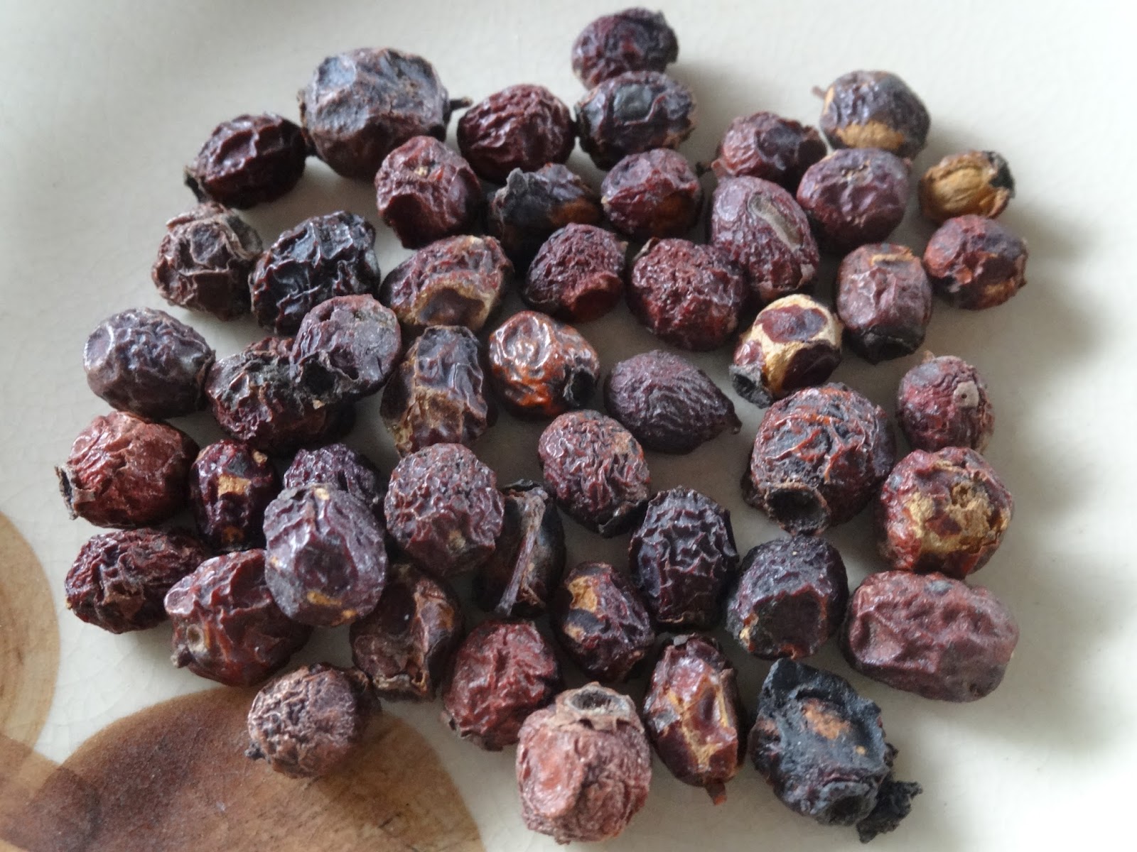 Roter Faden 尼崎ドイツ語 植物療法教室 ドイツの秋のハーブ