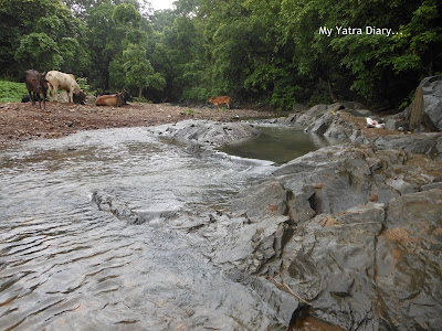 A stream at Tungareshwar temple in Vasai, Mumbai