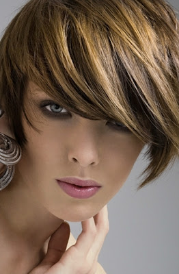 Shorthair Multitone 2012