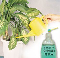 植物生長各階段施肥 全方位的營養需求 園藝部落格 Igarden 花寶愛花園園藝文摘plus