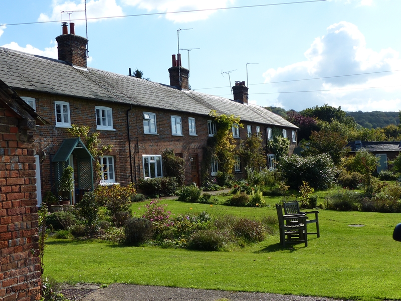 The Balancing Kiwi Friday's Walk Ashridge Estate & Aldbury Village