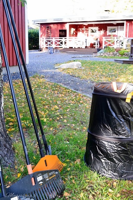 fiskars solid harava vaihtopää alumiinivarsi popup puutarhasäkki syysulkoilu syypuuhailu pihahommia