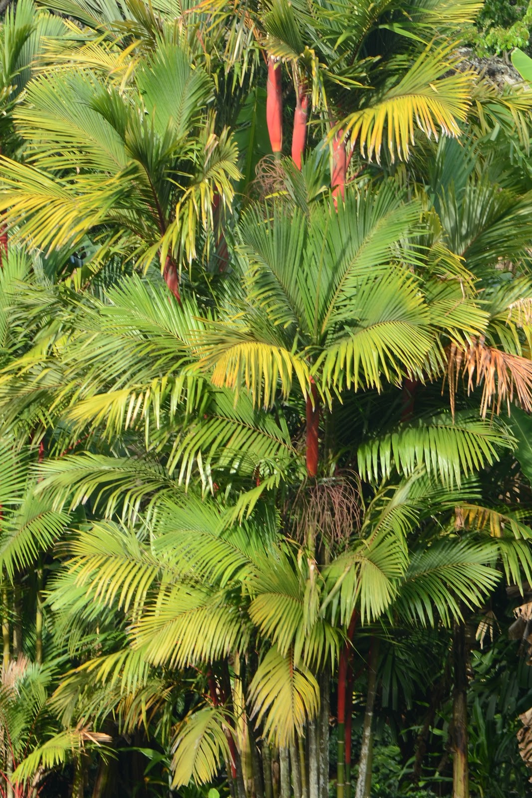 Art Matters July 2012