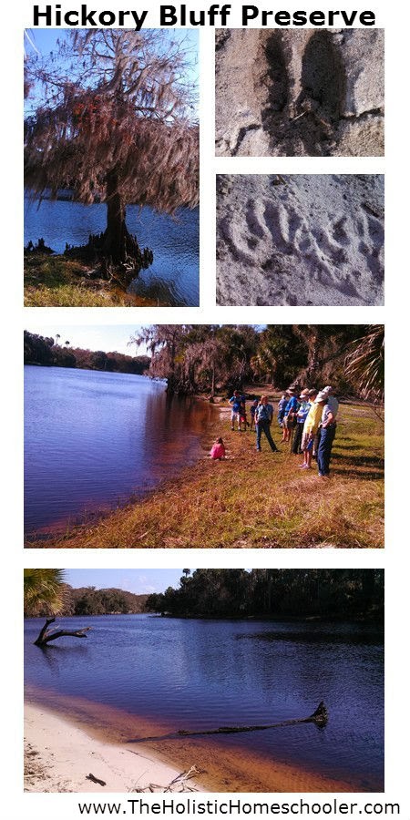 We Took a Homeschool Break and a Hike A photo collage of our hike to Hickory Bluff Preserve in Osteen, Florida. @tmichellecannon