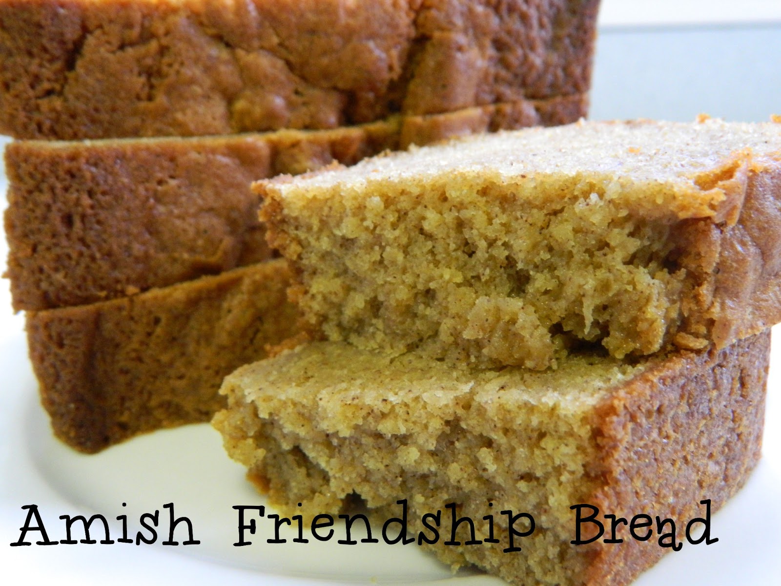 My Favorite Things Delicious Amish Friendship Bread Starter