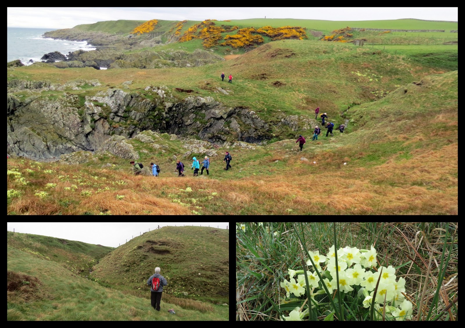 The Glebe Blog Three Walks Newton Stewart Walking Festival 2013