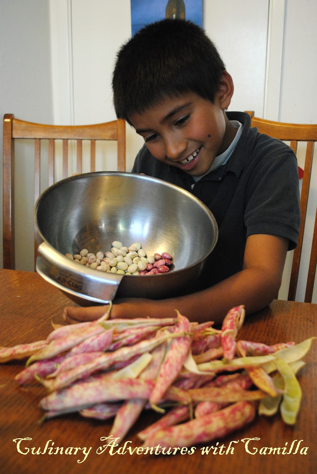 bearded-dragon-tongue bearded-dragon-tongue