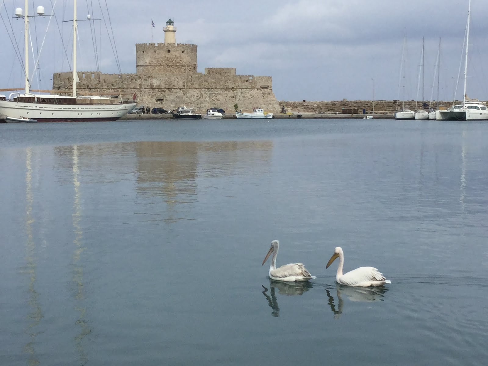 ΤΟ ΠΡΟΒΛΗΜΑ ΤΩΝ ΚΑΔΩΝ ΑΝΑΚΥΚΛΩΣΗΣ ΣΤΟ NΗΣΙ ΤΗΣ ΡΟΔΟΥ