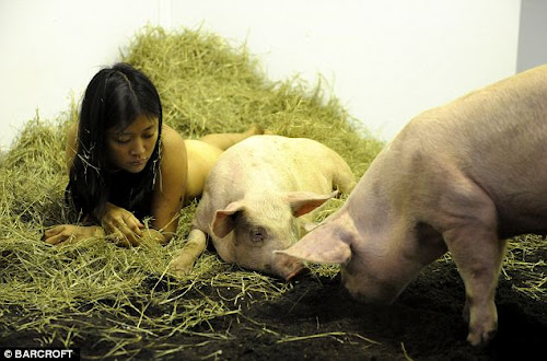 Gambar Foto Miru Kim Bugil Bersama Babi Selama 104 Jam 