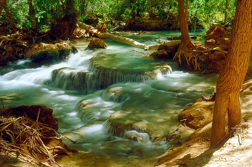 The Daybreak The Garden of Eden