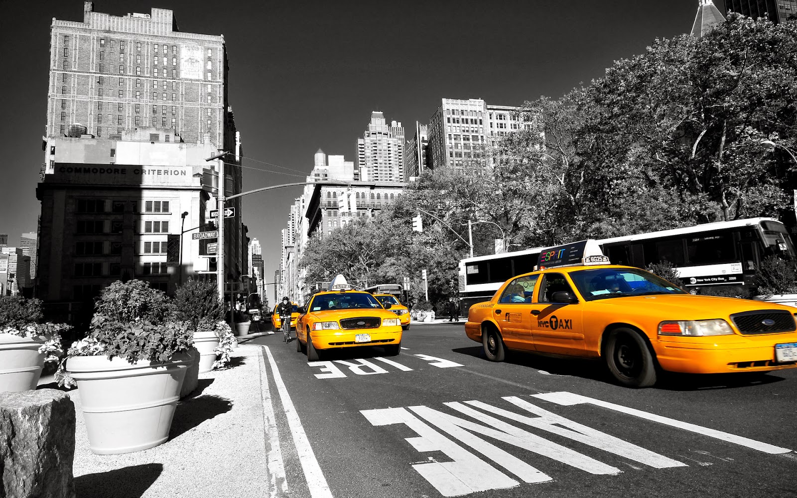 hd Cars wallpapers New-York-Taxi-HD-Background