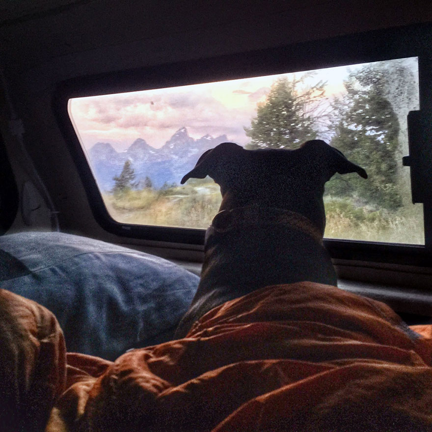Beauty is everywhere if you know how to look - I Live In My Truck With My Dog And Travel Across The Country Beauty is everywhere if you know how to look - I Live In My Truck With My Dog And Travel Across The Country