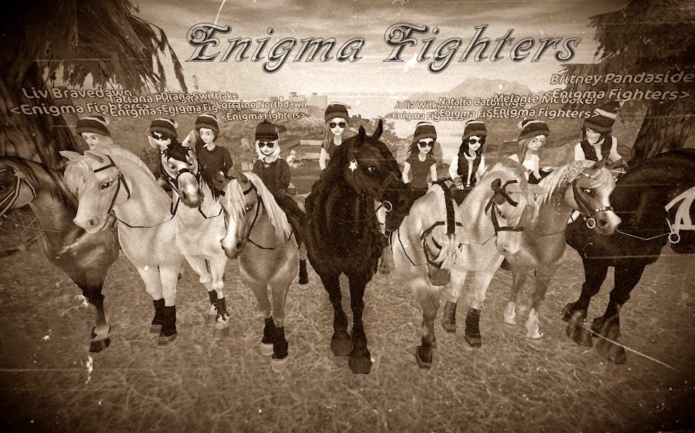 Enigma Fighters