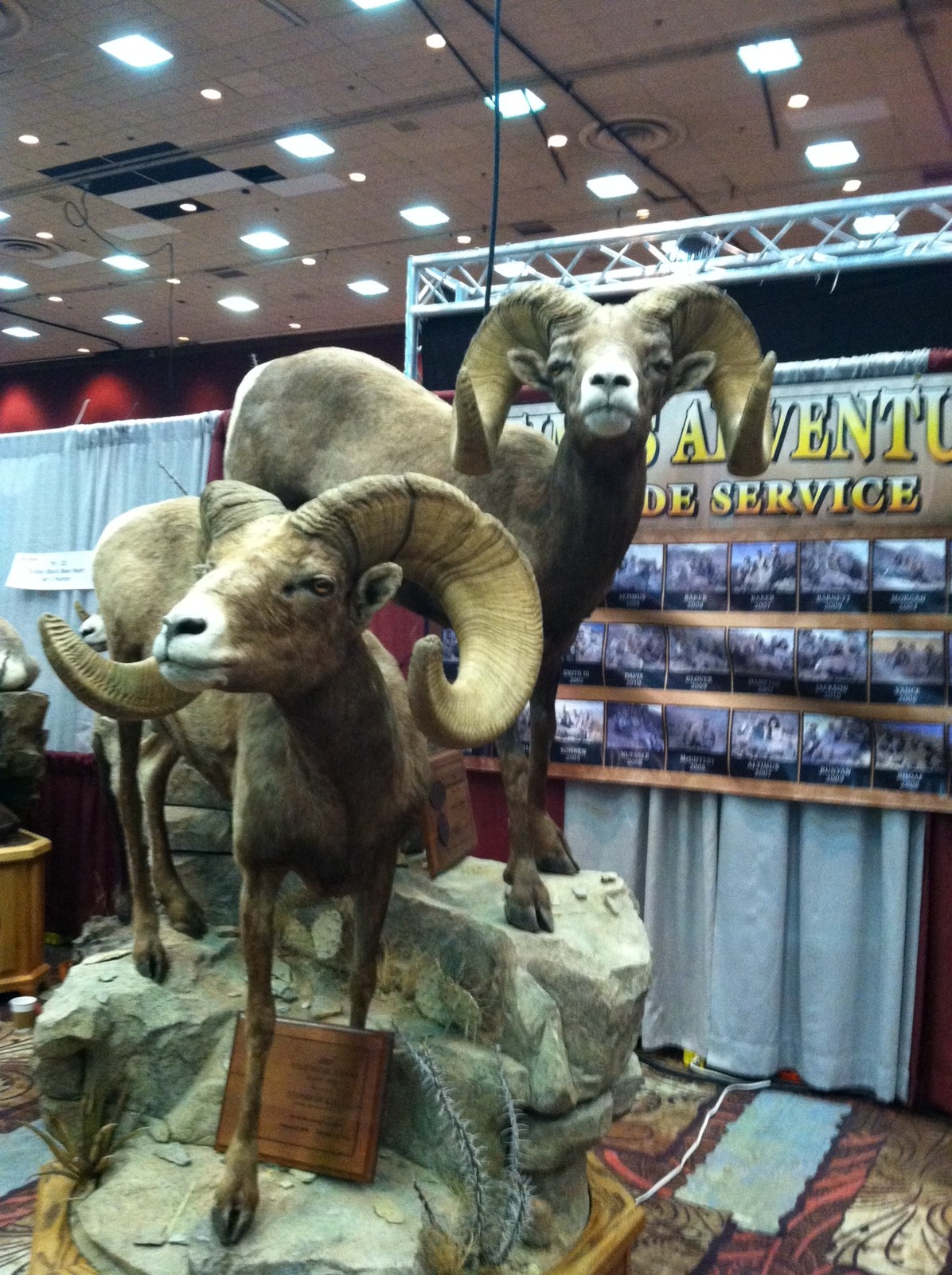 Jay Scott Outdoors 2013 Wild Sheep Foundation Sheep Show