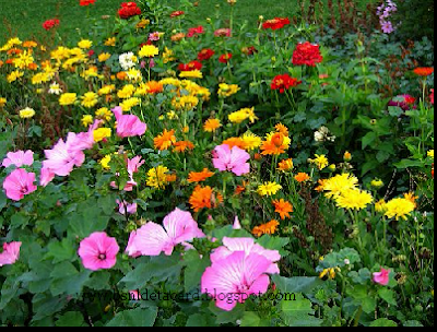 Garden Design: Latest Garden Design Ideas for flower