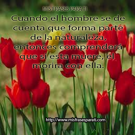 Resultado de imagen de imagenes de naturaleza con frases positivas