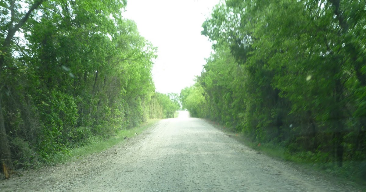 Savor The Days Fun at Anna's Acres