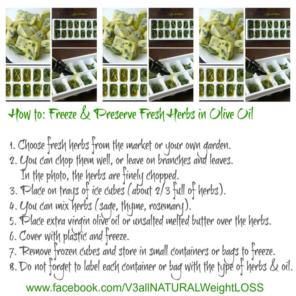 Home Ideazz How To Freeze & Preserve Fresh Herbs in Olive Oil
