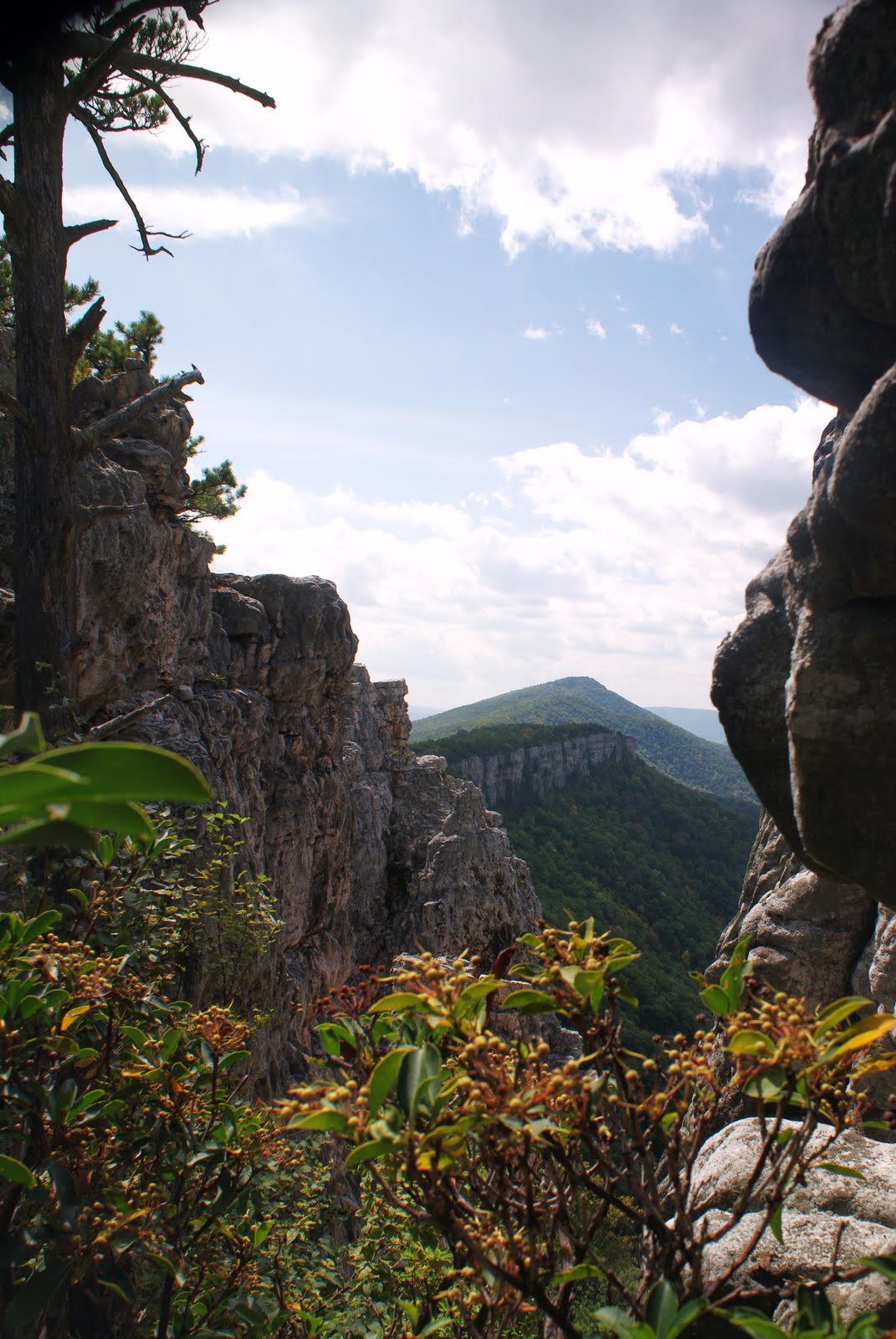 Hike West Virginia's North Fork Mountain to Chimney Top