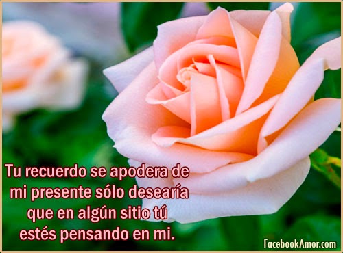 Imágenes bonitas de amor flores romanticas para facebook