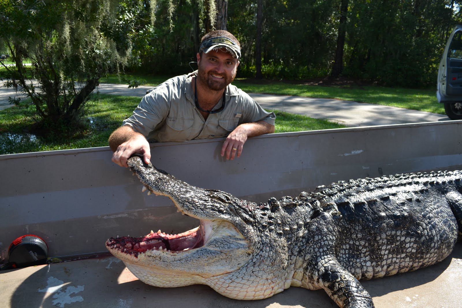 The Wild Life Thoughts on Florida's Alligator Hunting Season