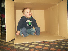 JJ loving the box!