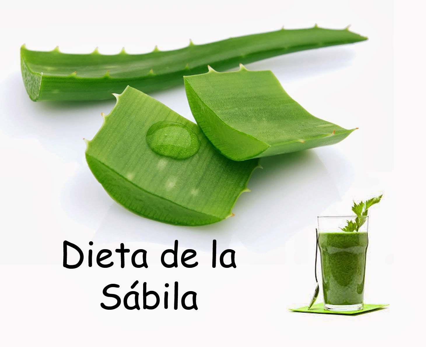 Todo sobre tomar vitaminas para bajar de peso decir, aportamos menos Taza tomar vitaminas para bajar de peso elptica Tiempo: