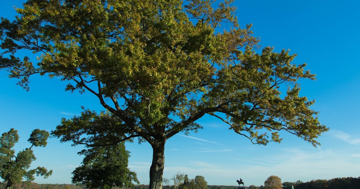 3 Great Places for Outdoor Activities in Northern Virginia Travel the