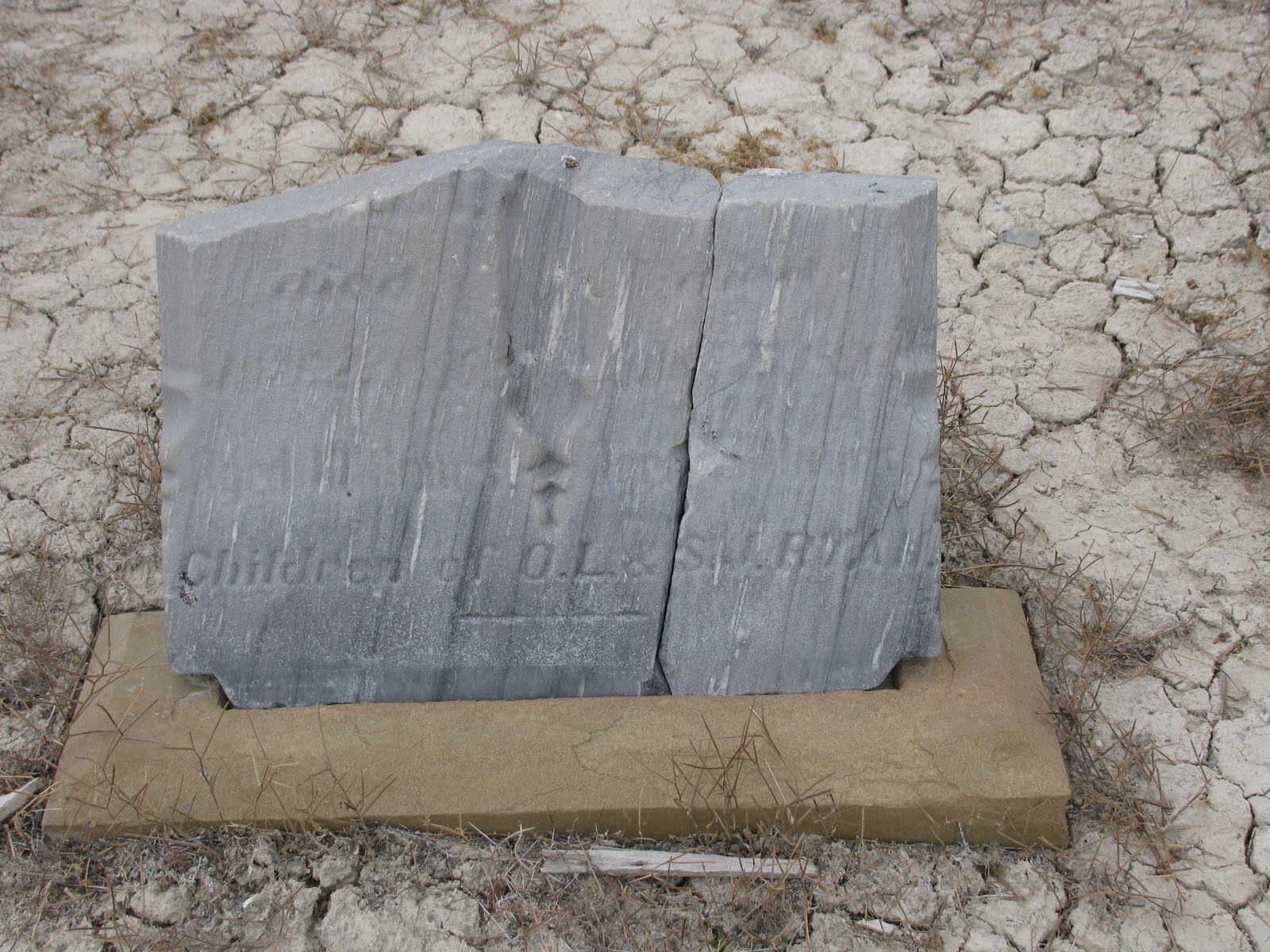 Dian's Timpanalley February 2013