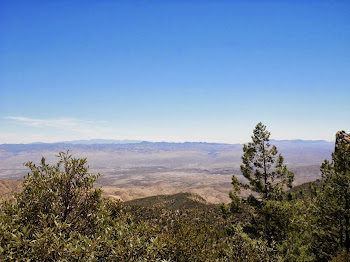 A view from Mt. Lemmon in Tucson