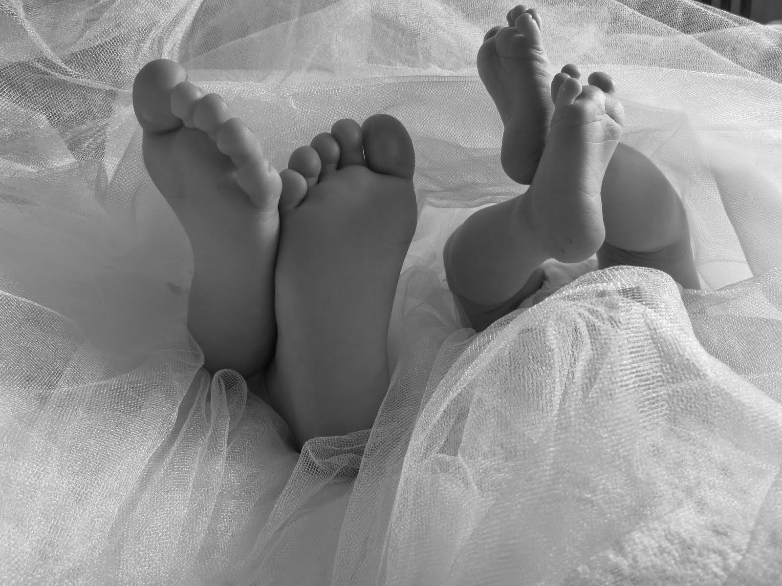 ~Mary and Abigail's little feet~
