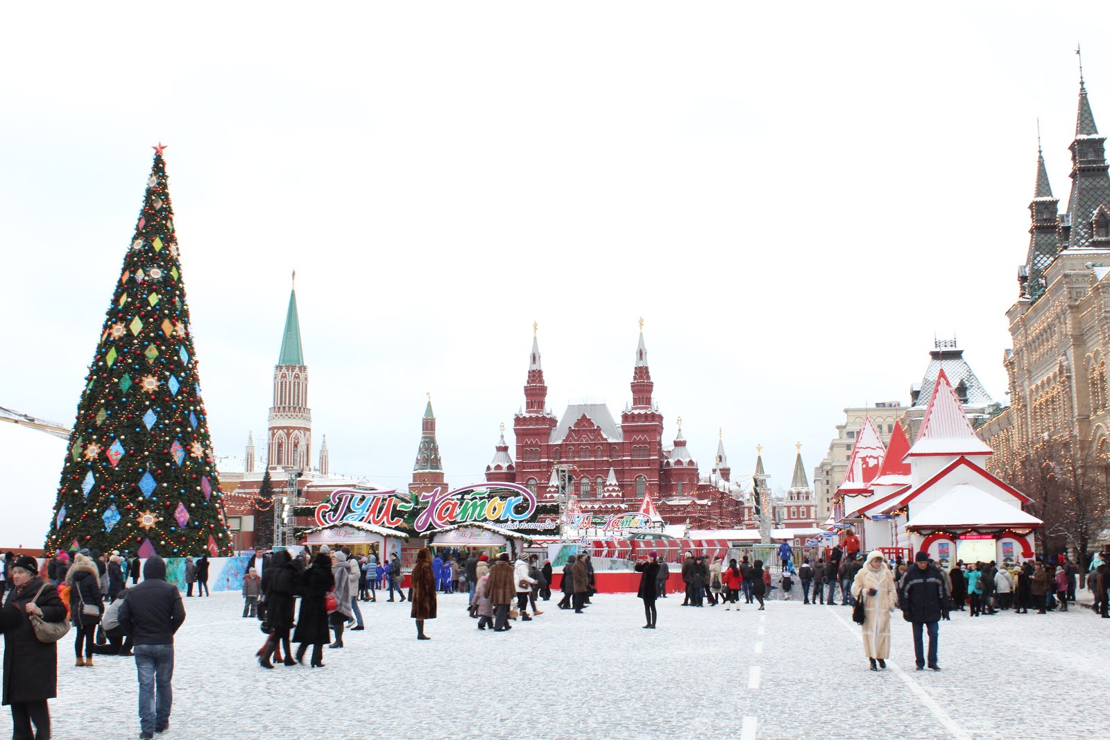 [Image: IMG_3082.JPG]