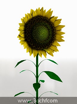 Sunflower 3d Model Free Free 3d Model