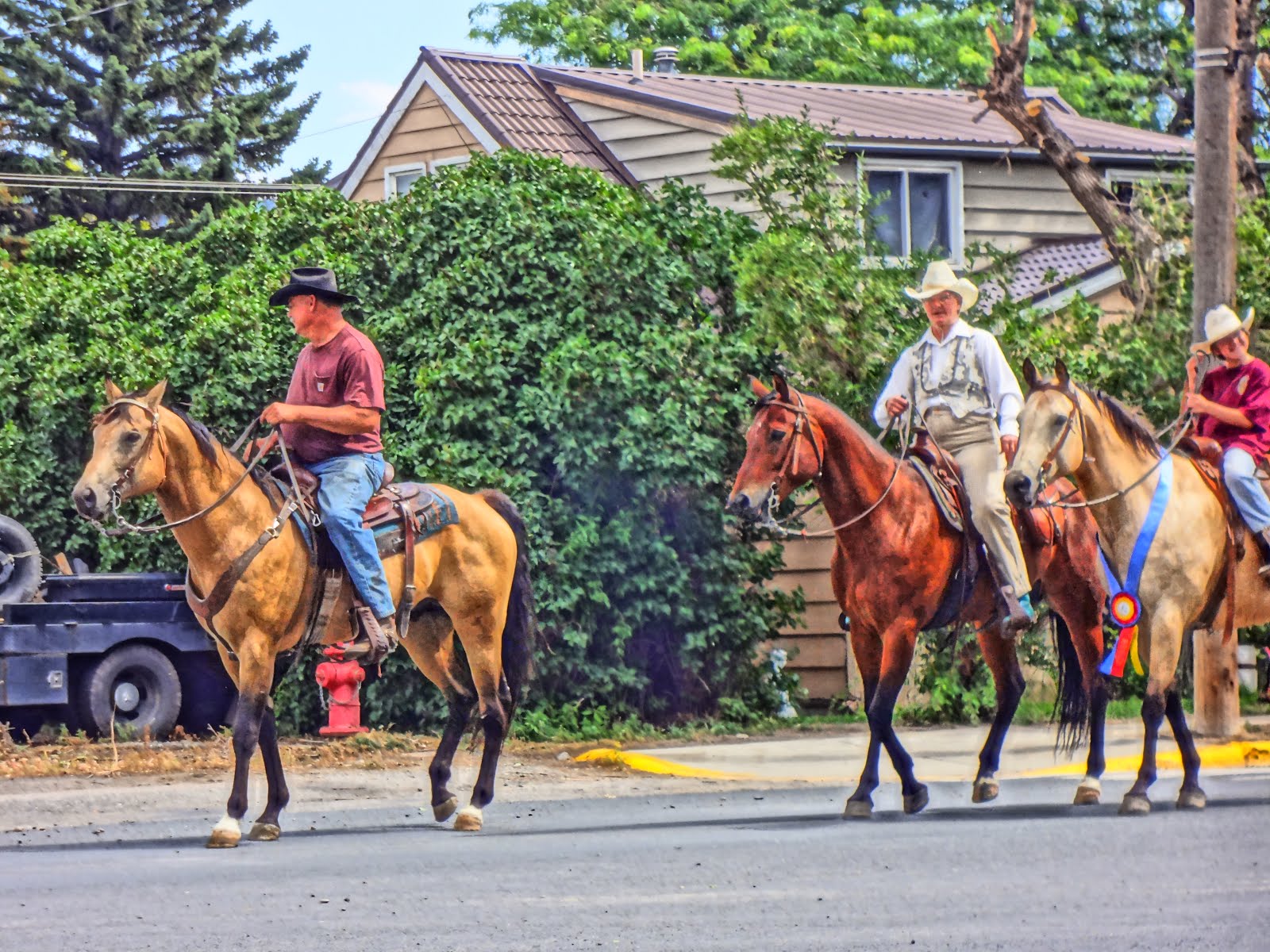 Quarter horses in Montana Parade