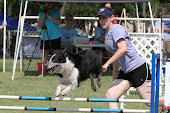 UKI agility 2011