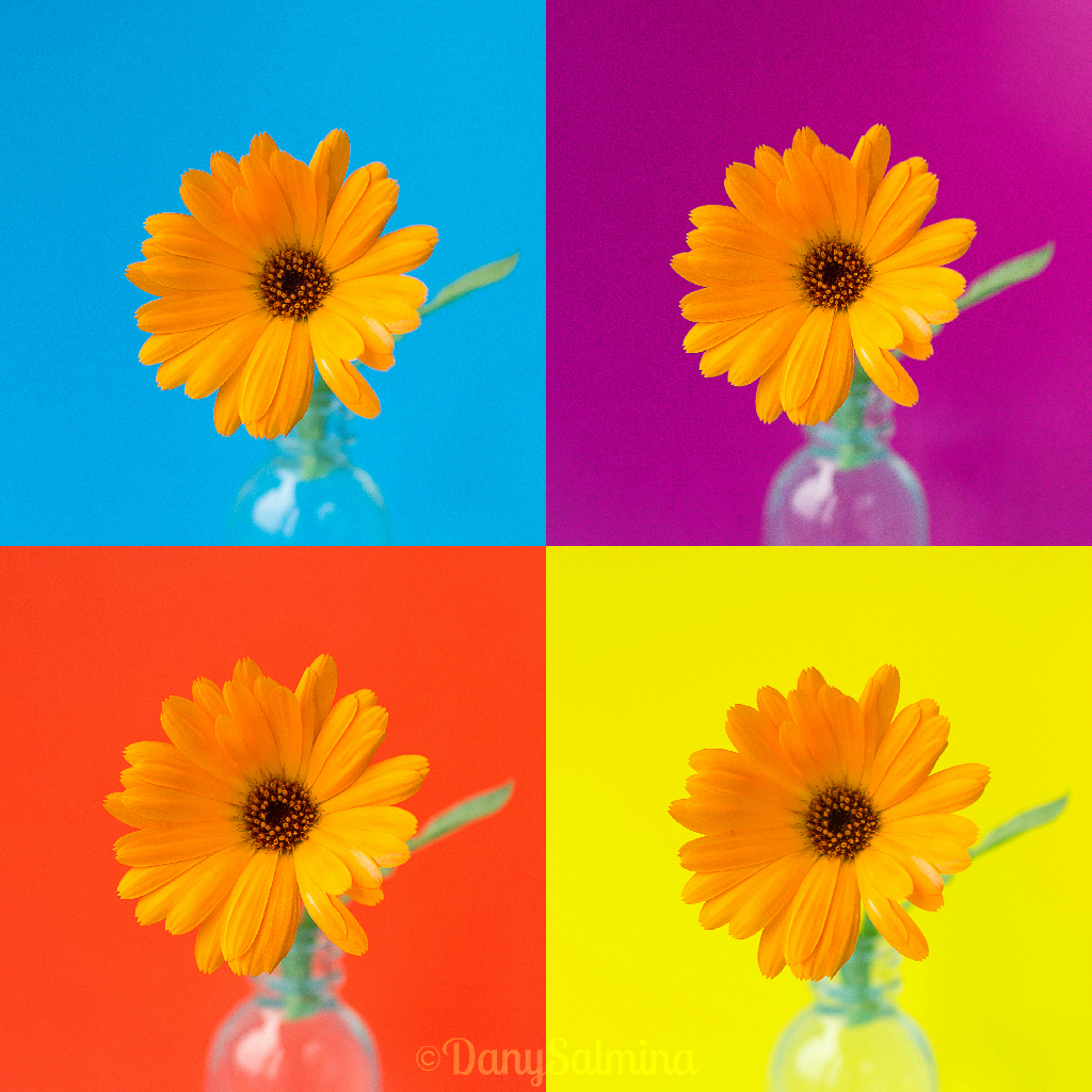 Colori Complementari