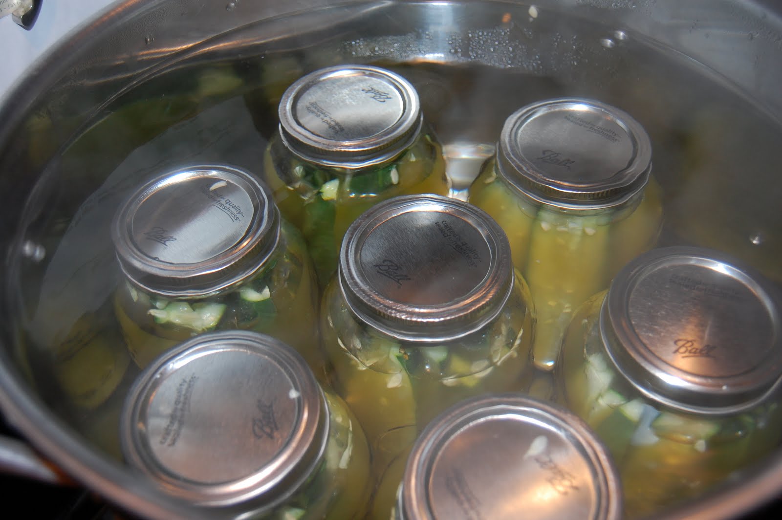 My Family. My Friends. My Life. Canning